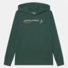 Jack & Jones Junior Jornate Hood - Sudadera - Green