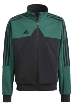 Adidas Sportswear J Hot Wwc Tt - Chaqueta De Entrenamiento - Collegiate Green/Black